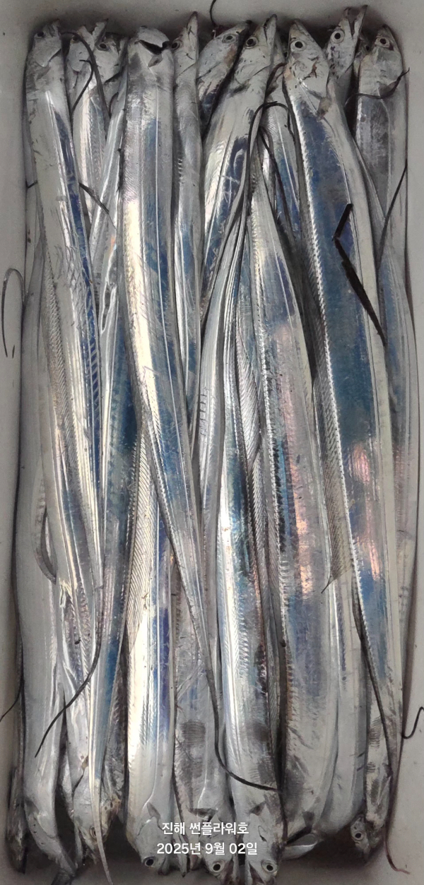 59901.jpg