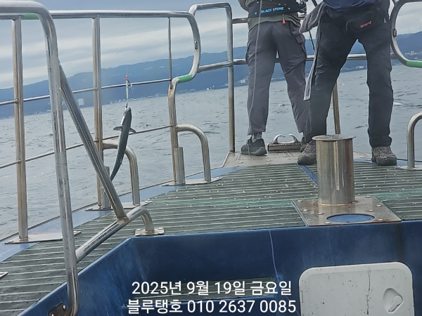 20250919_144215.jpg