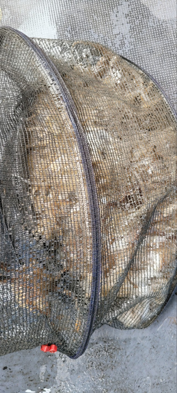 예지퀸호 농어외수질&어초낚시 경기인천권_사진_20250927_10.jpg