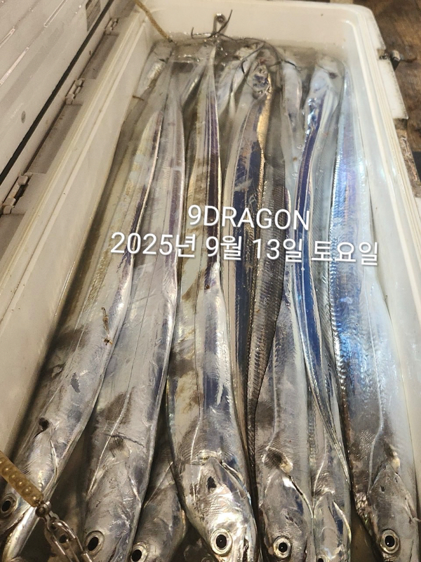 DC639BAE-4B52-43FD-93A9-B5EC5A390BA9.jpeg