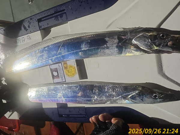 1000007156.jpg