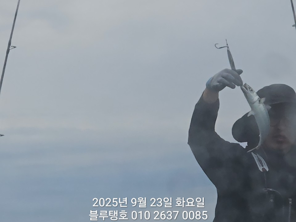 20250923_071552.jpg