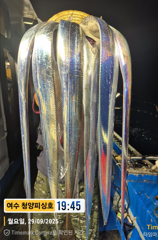 2025-09-29 19.45.14__(제목-여수 청양피싱호).jpg
