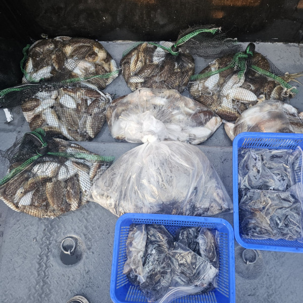 ꫛꫀꪝ✧‧˚ 태안 마검포 新출항호 .• _˚☀₊_사진_20250910_4.jpg