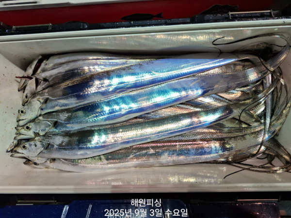 1000027979.jpg