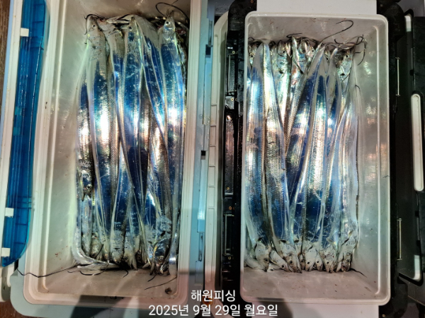 1000028104.jpg
