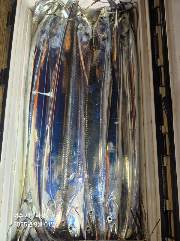 1000048150.jpg