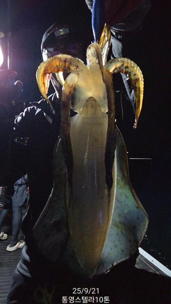 TimeVideo_20250921_043400.jpg