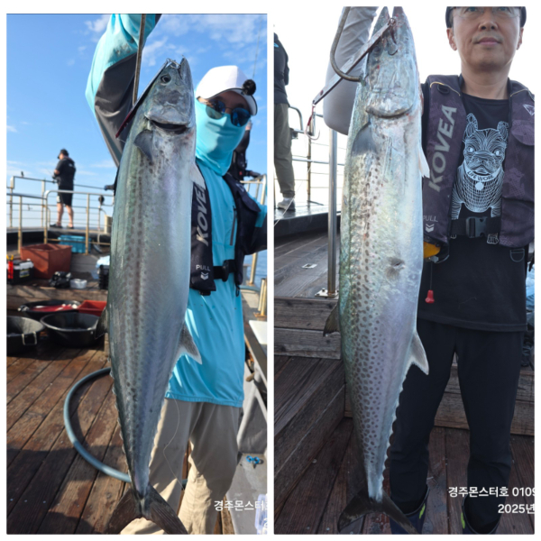 31101bf4f8493fade7537761110a52cd.jpg