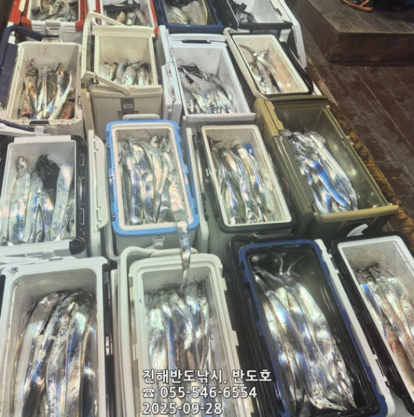 31f4d3e5dd159edc3c4e9ee128b9d4c8.jpg