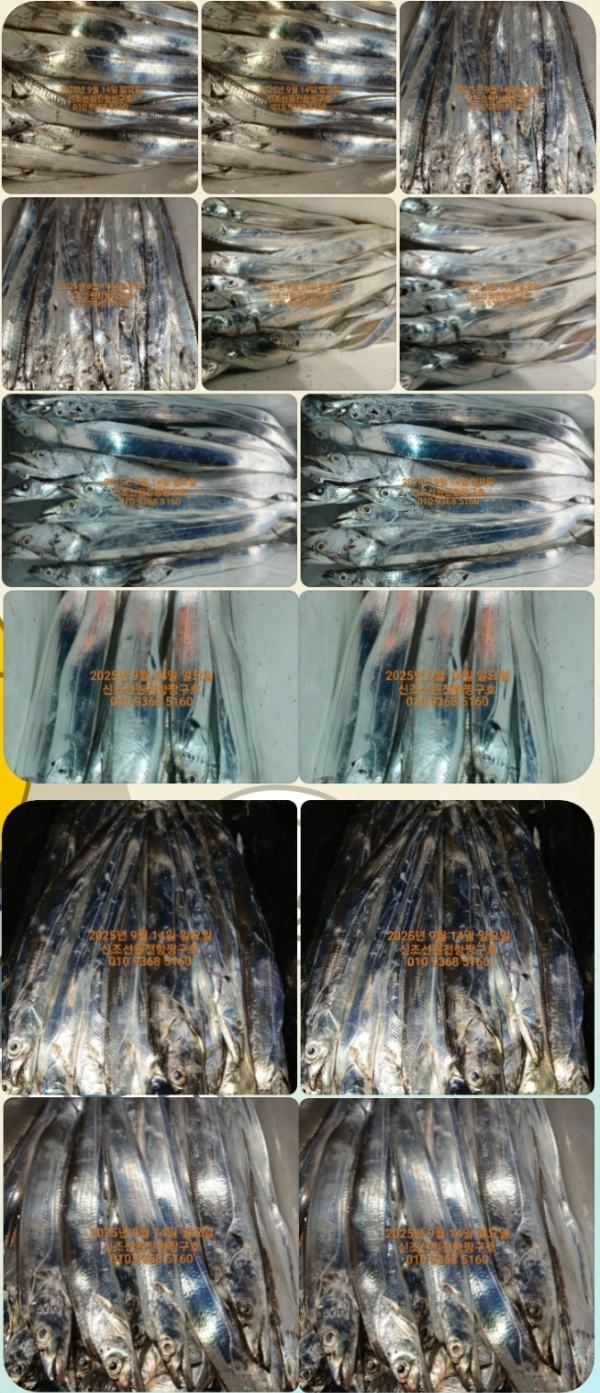 KakaoTalk_20250914_064035563.jpg