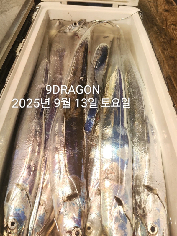 F73E5B65-8F8E-4C0A-BDD8-8CA4BBCB4BF7.jpeg