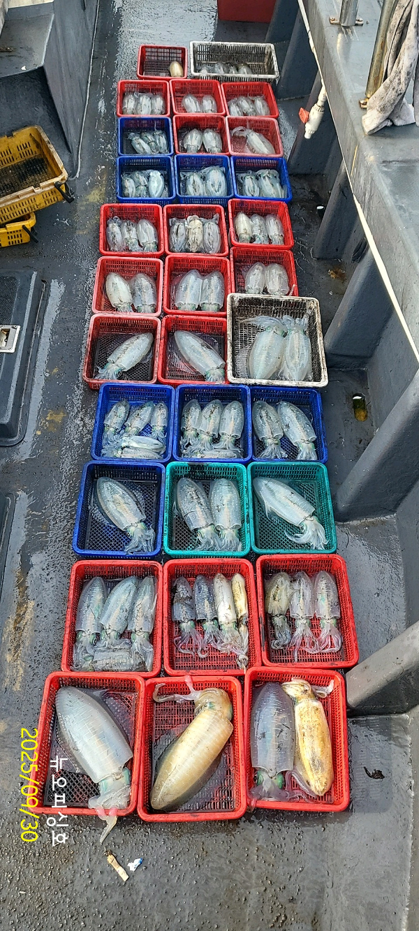 DateCamera0930081656.jpg
