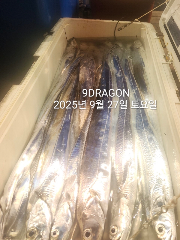 CC8E3D13-D7AE-4776-83B5-35D1ECD90401.jpeg