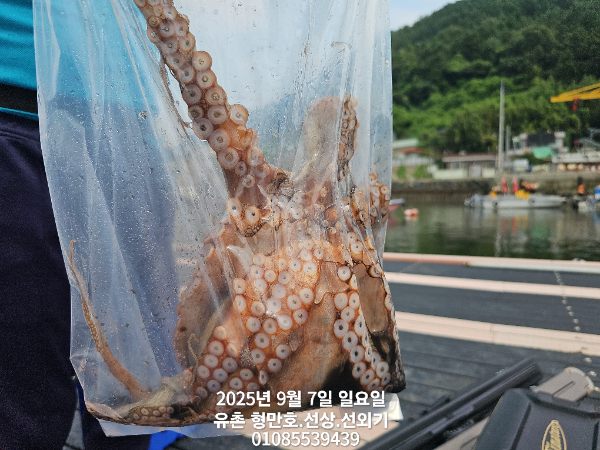 3390be51a94e26561d21bf4979a29c6c.jpg