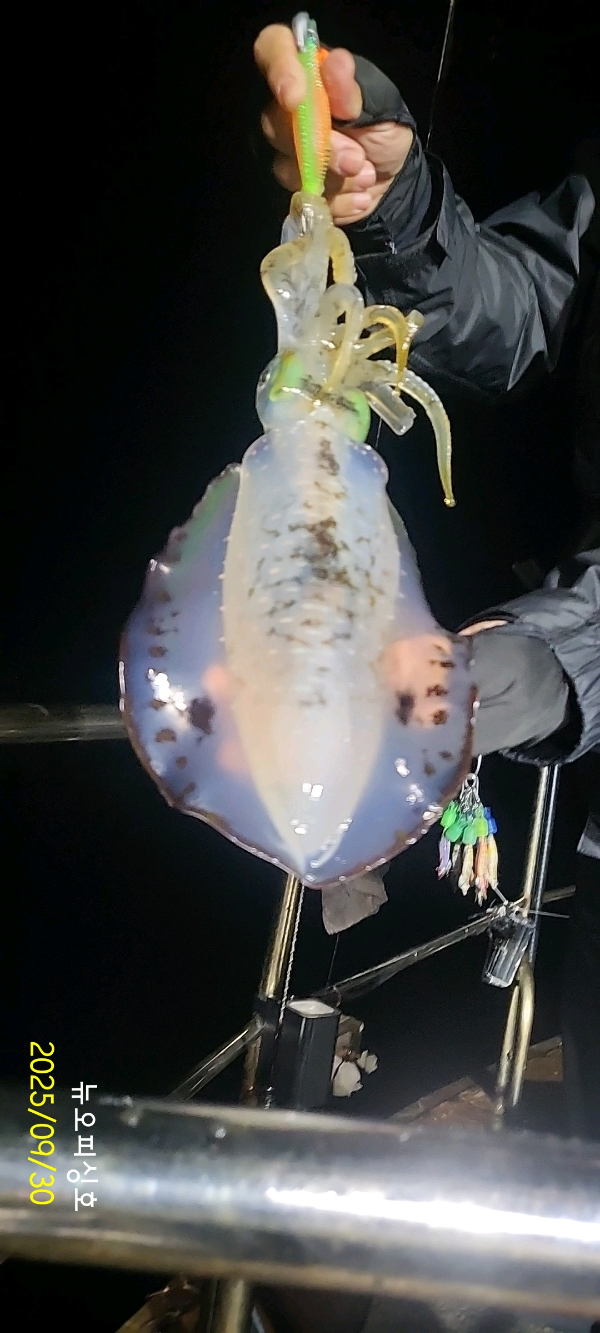 DateCamera0930014719.jpg