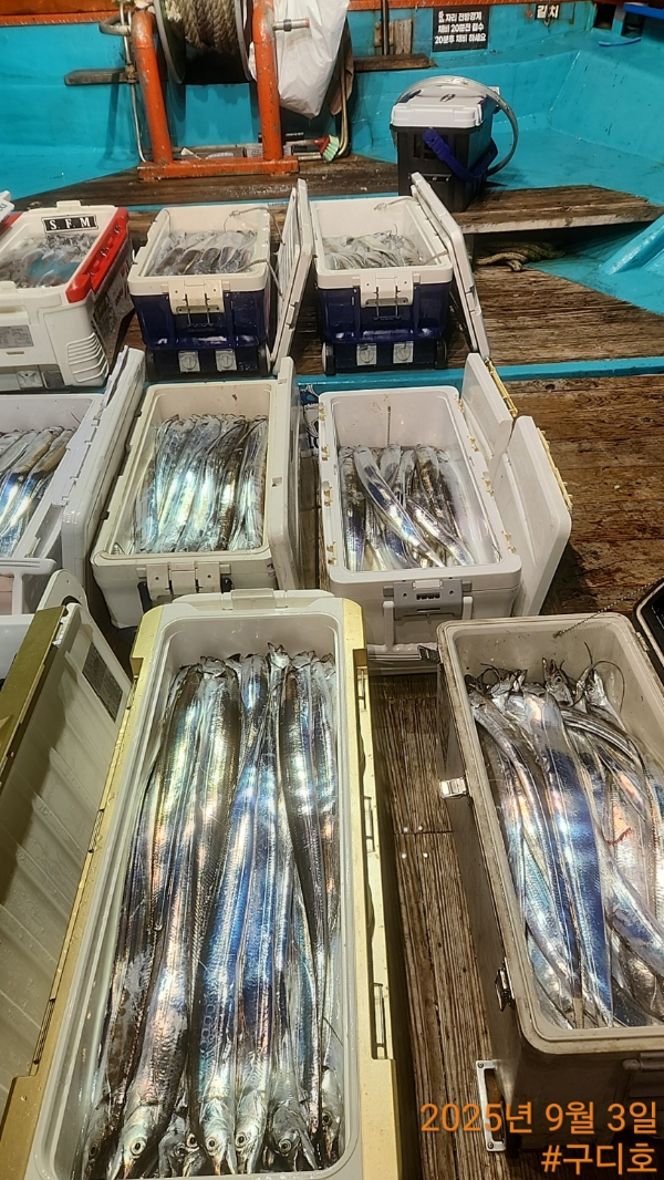 1000010907.jpg