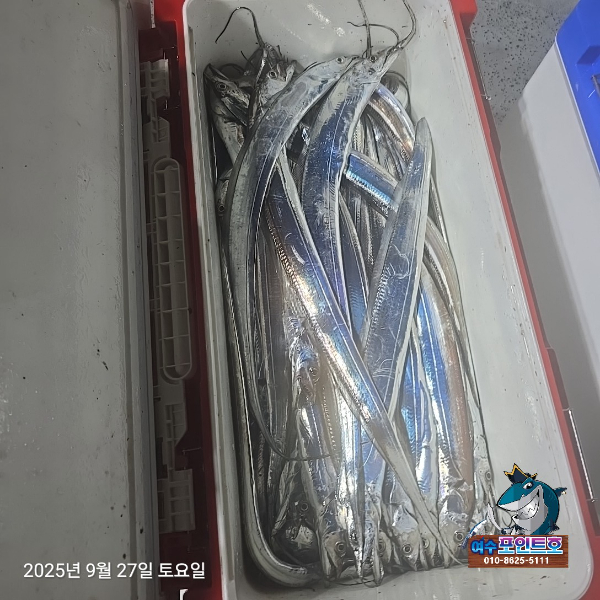345db18e46cc188453cdb24170398f9a.jpg
