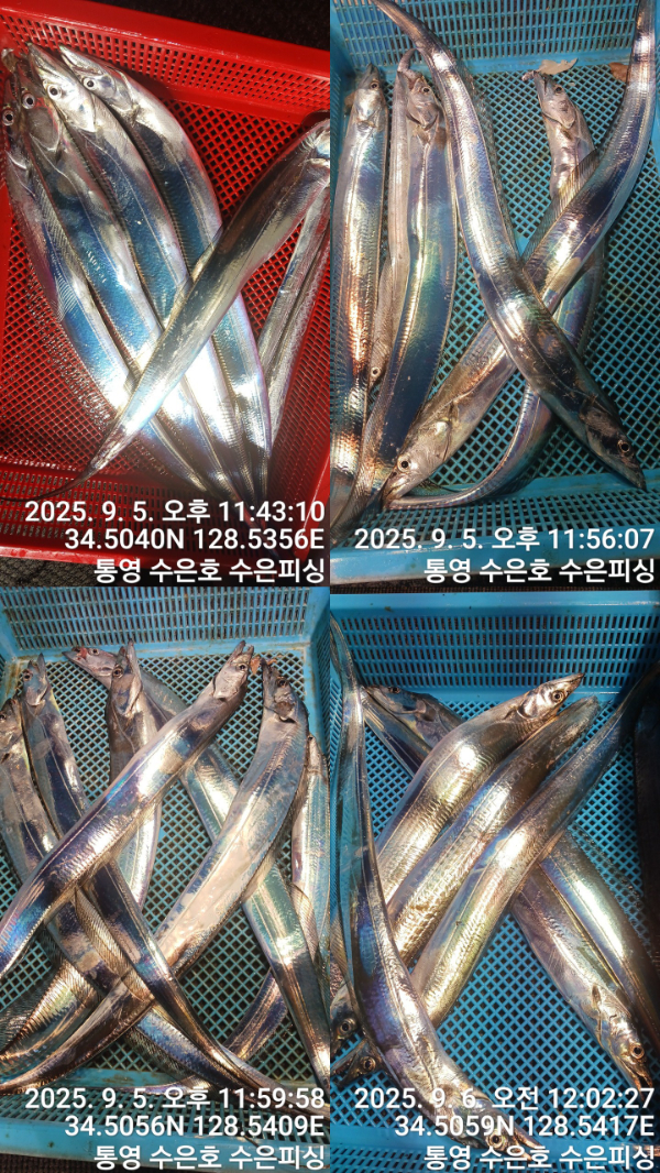 1757107956316-tile.jpg