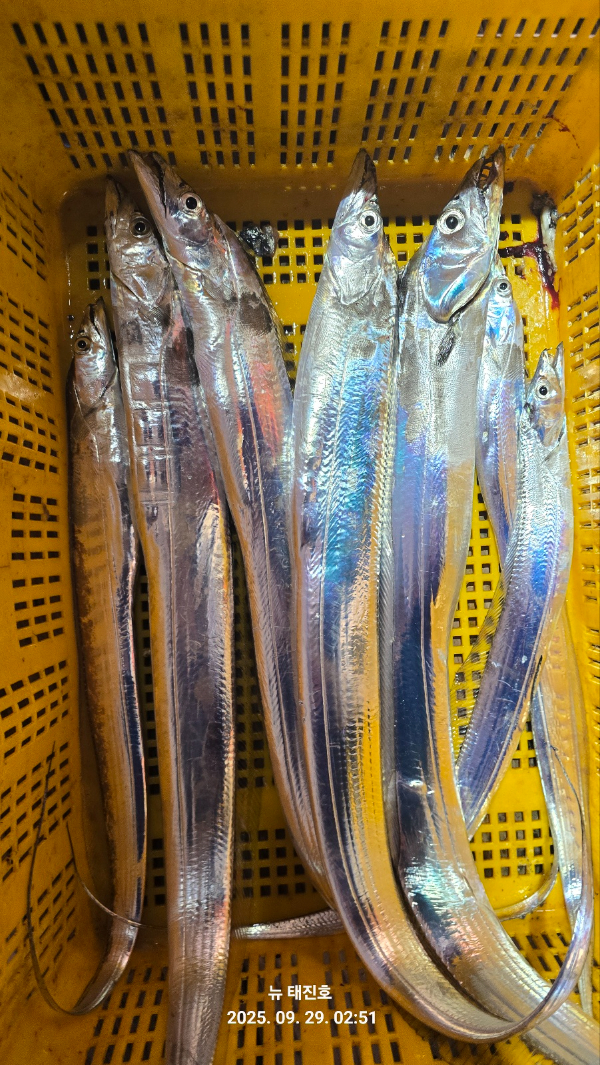 361cf30c50b4fe8f635014b205c847e6.jpg
