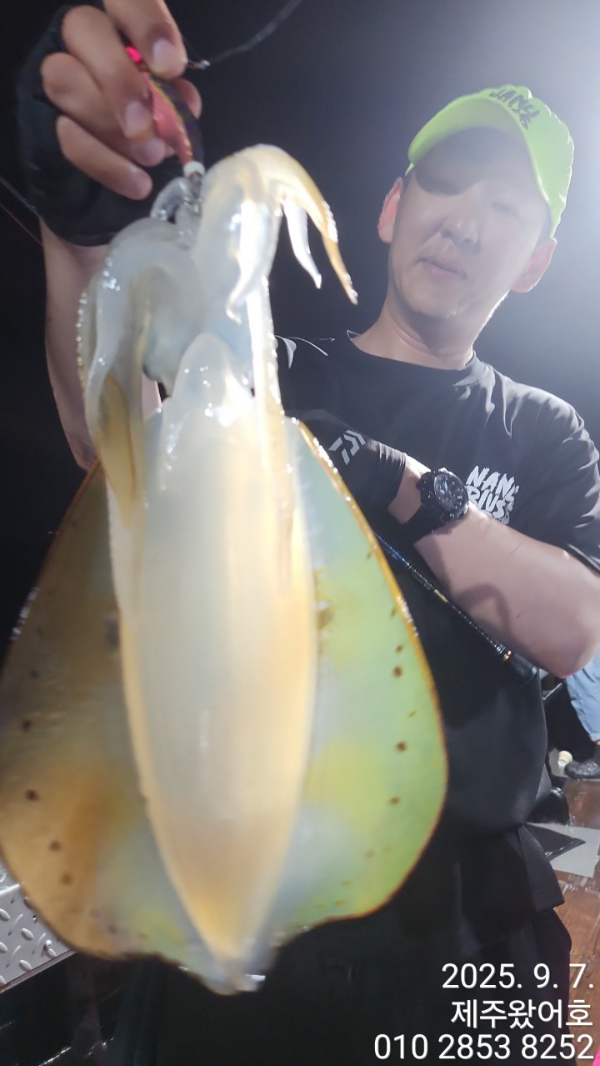 제주왔어호_사진_20250907_3.jpg