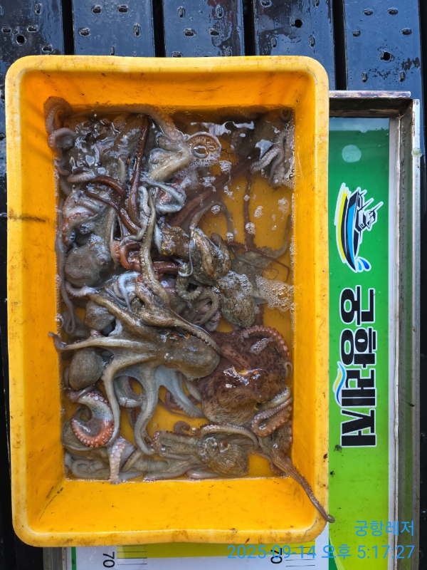 궁항레저_사진_20250914_3.jpg