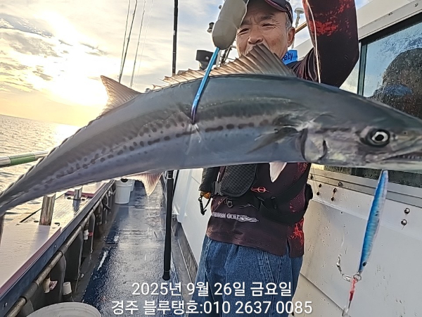 20250926_070239.jpg