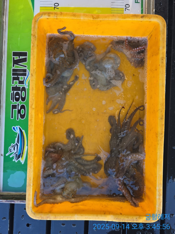 궁항레저_사진_20250914_9.jpg