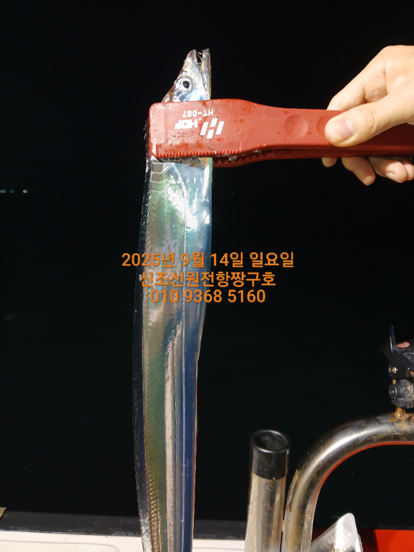 KakaoTalk_20250914_051923729_01.jpg
