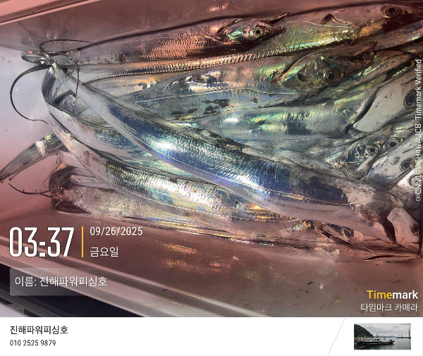 2025-09-26 03.37.15_(이름-진해파워피싱호).jpeg