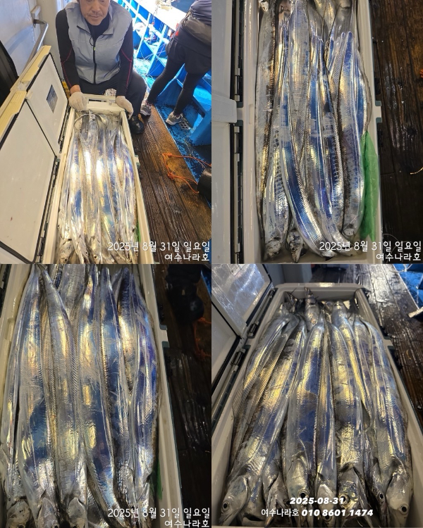 38dae82092d5d9fe8bbca5f54fbbb5db.jpg