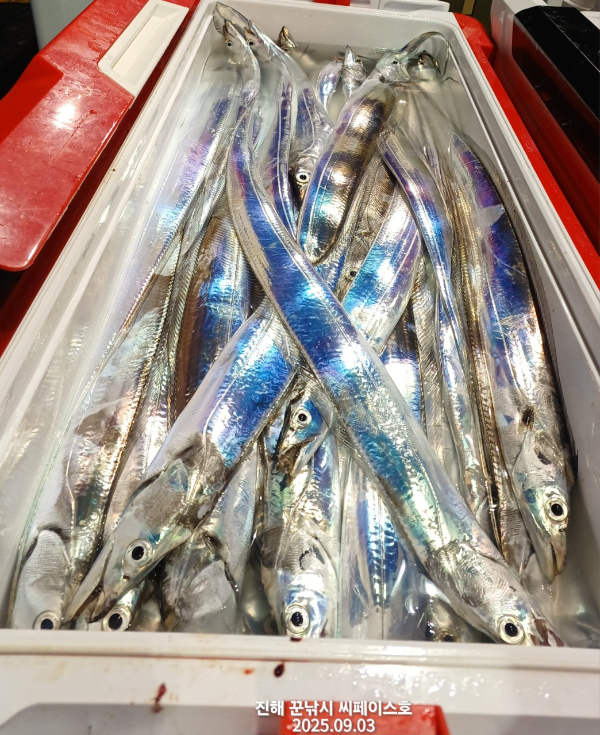1000036109.jpg