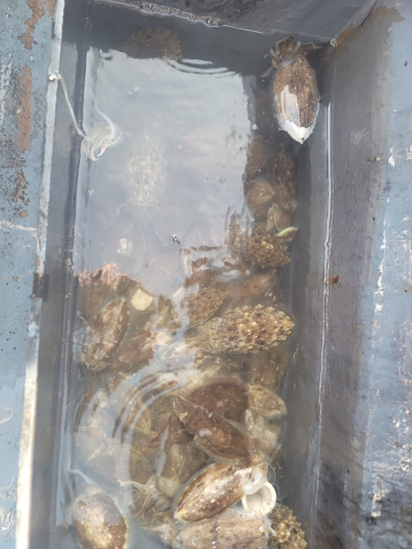 예지퀸호 농어외수질&어초낚시 경기인천권_사진_20250914_12.jpg