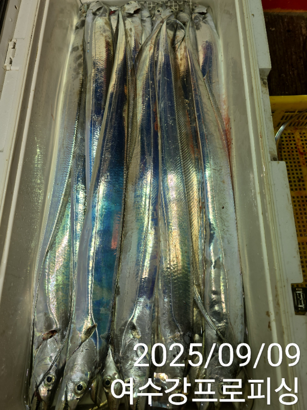 3995c86bcdd32130bf987e9d7b624684.jpg