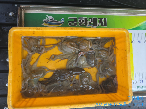 궁항레저_사진_20250907_5.jpg