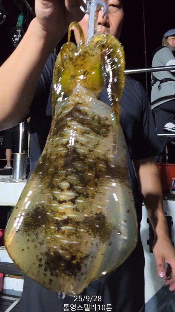 TimeVideo_20250928_011441.jpg