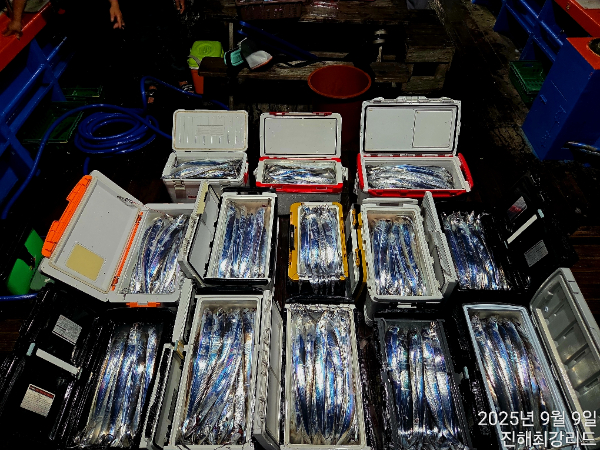 39f2529beaea0e3ec67416eb39b450c6.jpg
