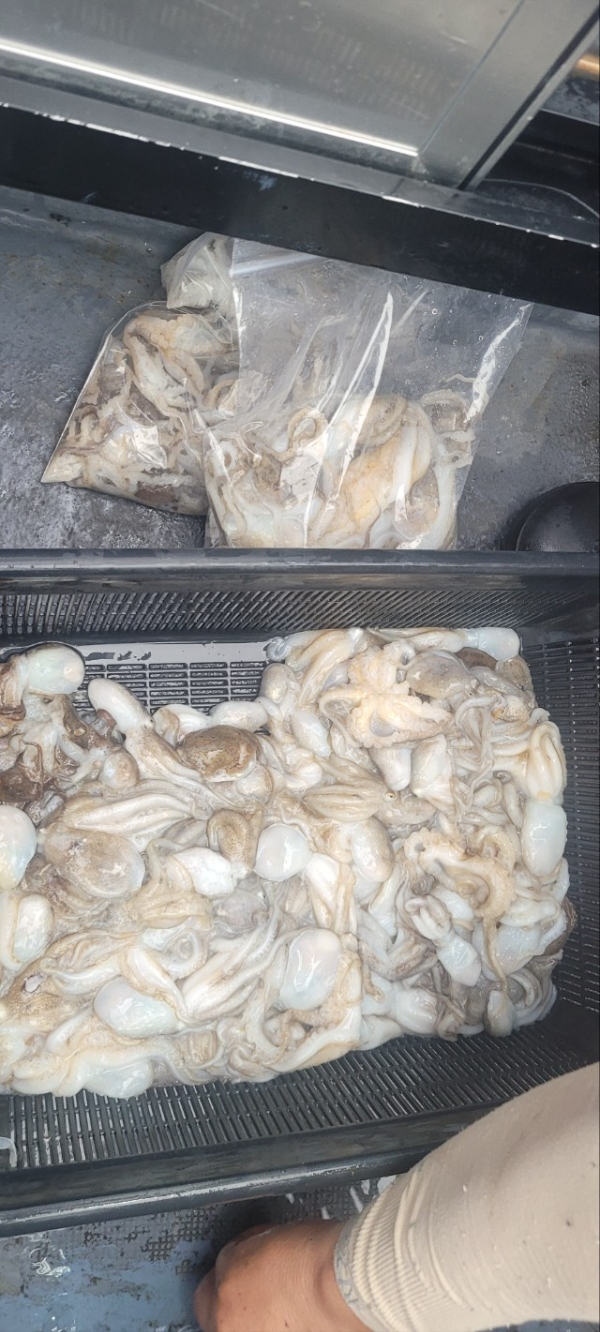 예지퀸호 농어외수질&어초낚시 경기인천권_사진_20250901_9.jpg