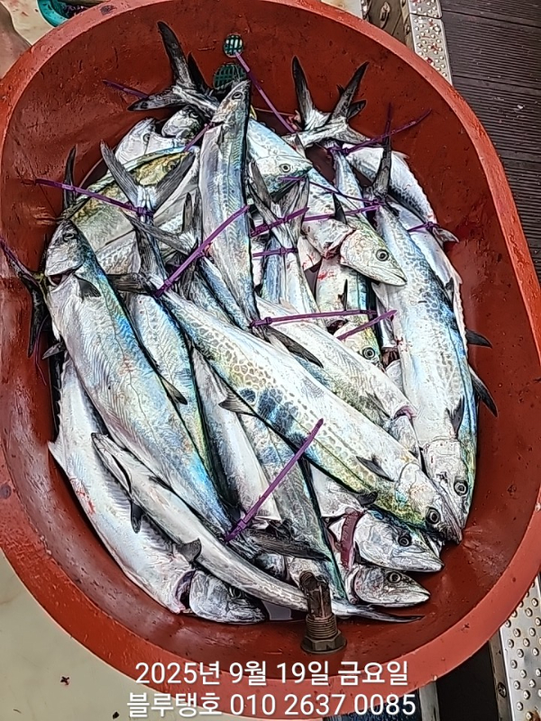 20250919_172450.jpg