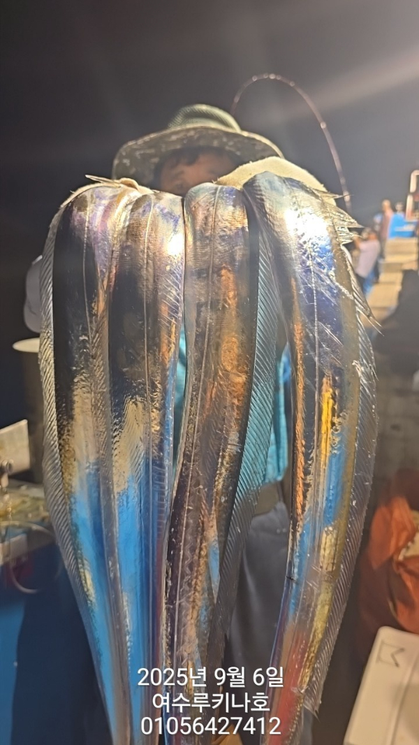 1757119122070.jpg