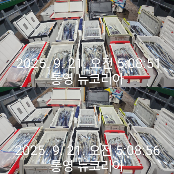 1000072525.jpg
