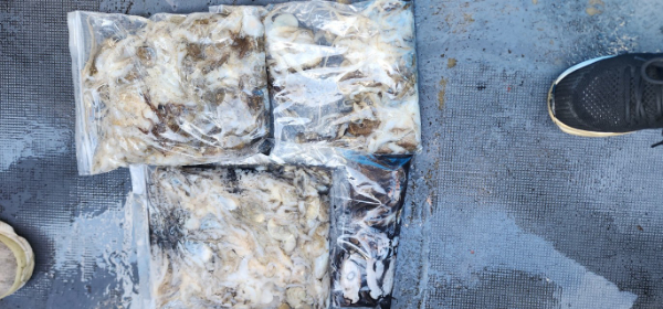 예지퀸호 농어외수질&어초낚시 경기인천권_사진_20250904_7.jpg