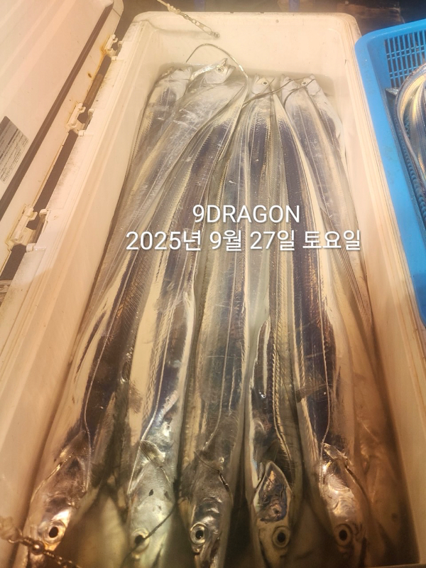 879F3839-7563-4DCB-9E1E-360886FDB288.jpeg