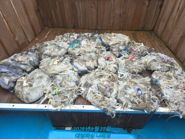 1000013204.jpg