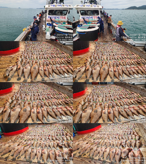 01TimePhoto_20250918_085504-tile.jpg