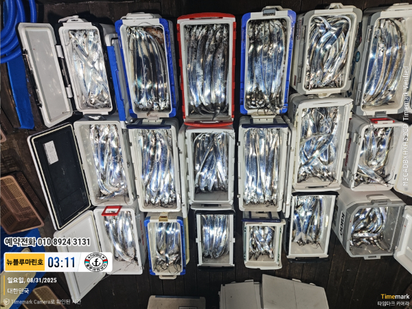 2025-08-31 03.11.49_대한민국_(제목-뉴블루마린호)_(예약전화 010 8924 3131).jpg