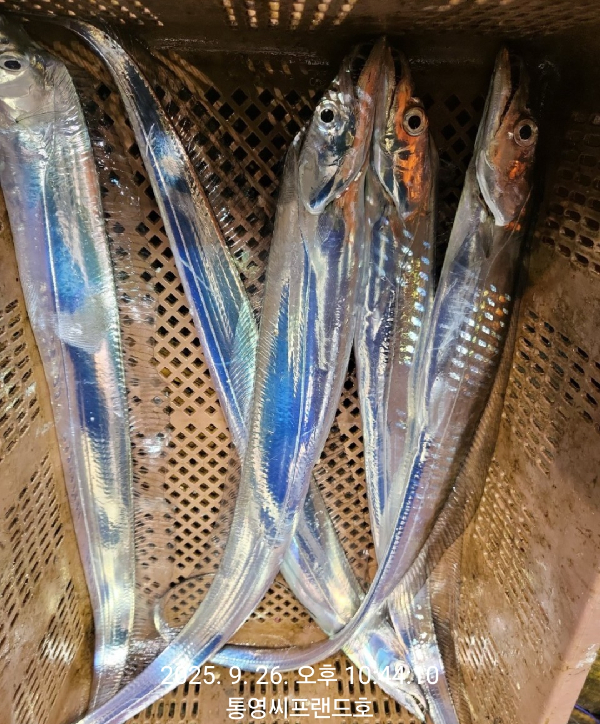 1758921739076.jpg
