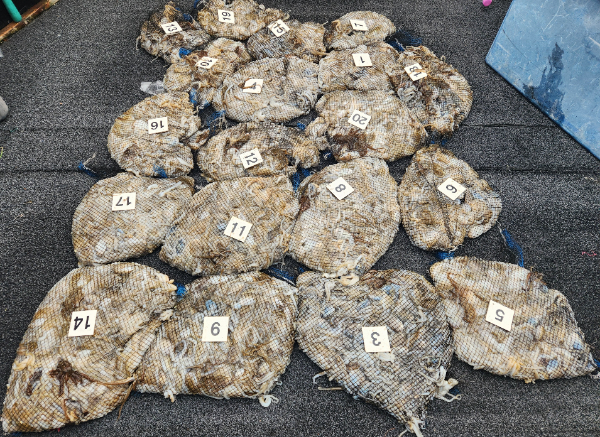 1000022646.jpg