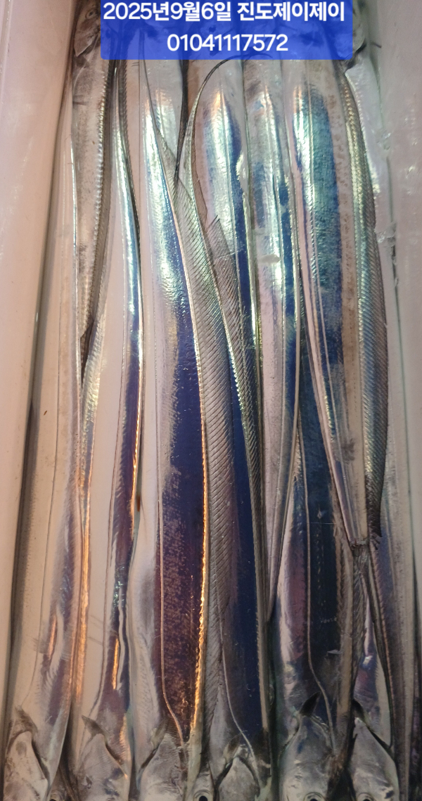 1000036915.jpg