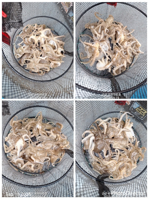 1000034140.jpg